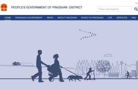 坪山区人民政府