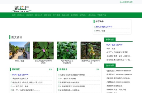 踏花行