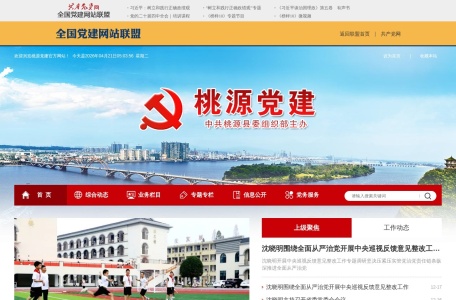 桃源党建网