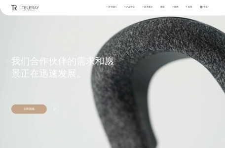 泰睿智造（东莞）科技有限公司