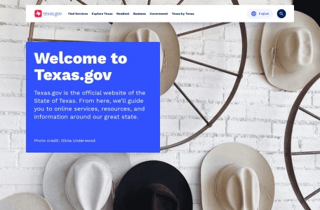Official Website of the State of Texas