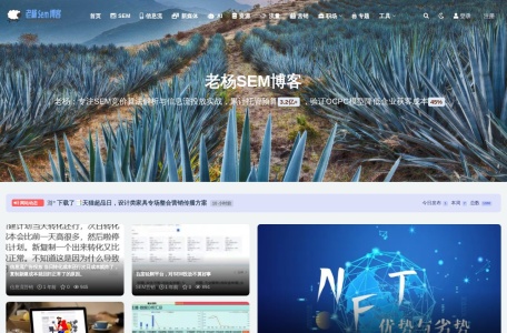 老杨SEM博客