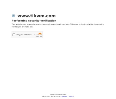 TikWM