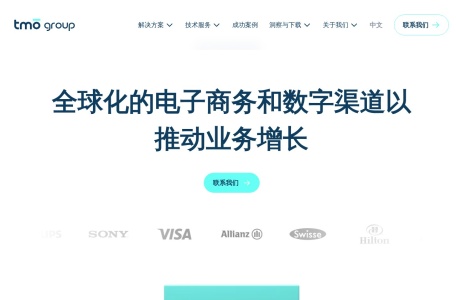 电商网站建设