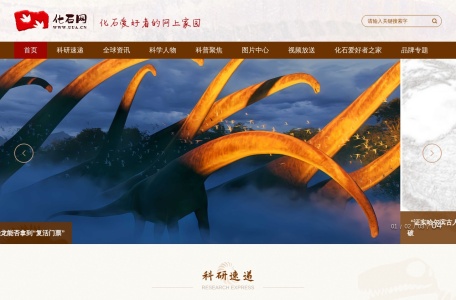 化石网