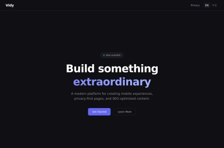 Vidy 界面截图