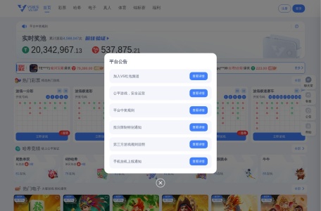 VS娱乐