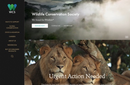 国际野生生物保护学会