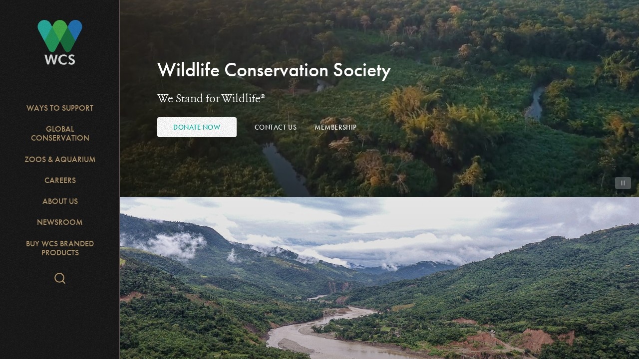 国际野生生物保护学会