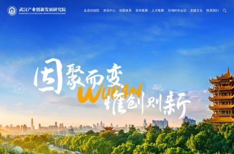 武汉产业创新发展研究院（武创院）官网
