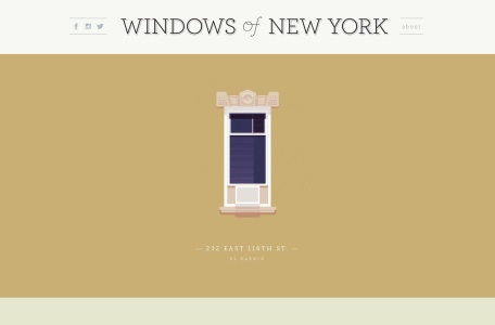 Windows of New York