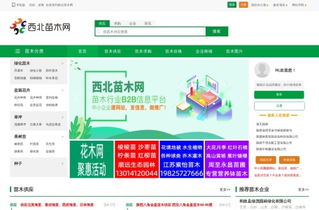 西北苗木网