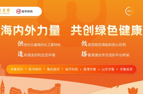 山东新华制药股份有限公司
