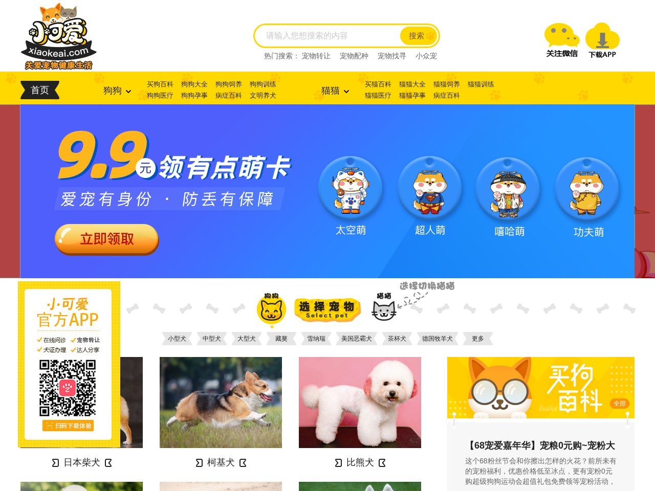 小可爱宠物健康生活网