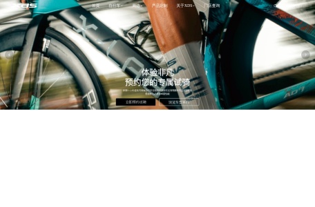深圳市喜德盛自行车