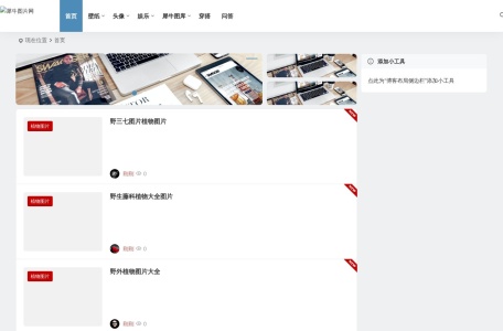 犀牛图片网