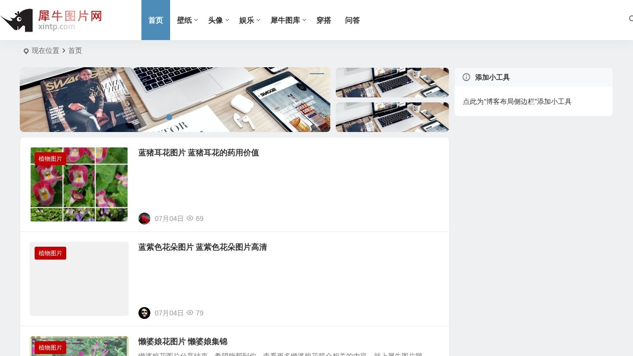 犀牛图片网