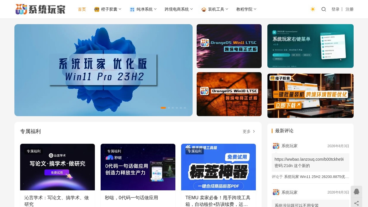 系统玩家