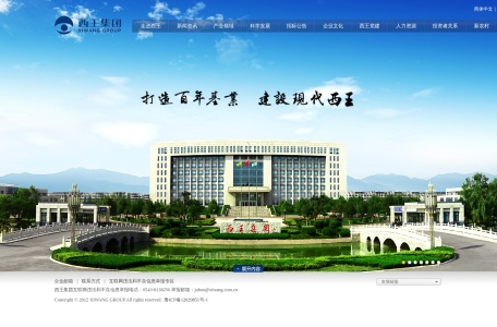 西王集团
