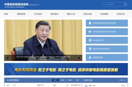 中国电影数据网