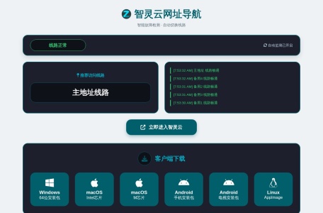 智灵云加速