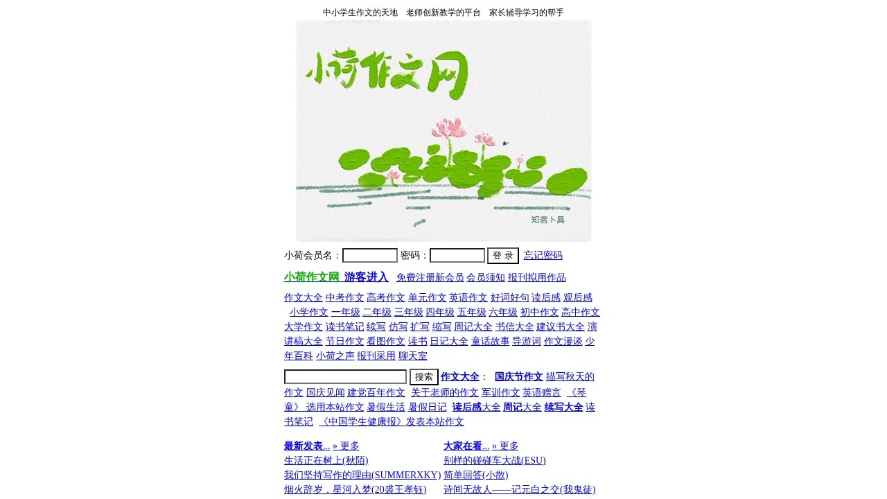 小荷作文网