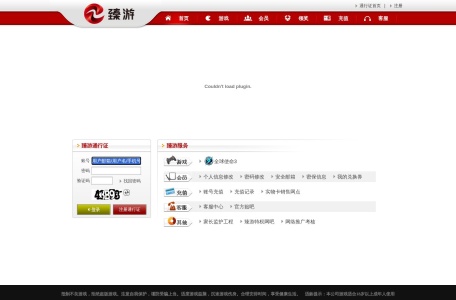 上海臻游网络