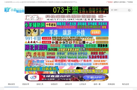 小超辅助网