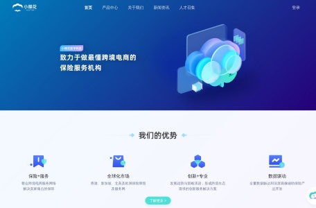 小棉花跨境保险服务_最懂跨境电商的保险科技服务商