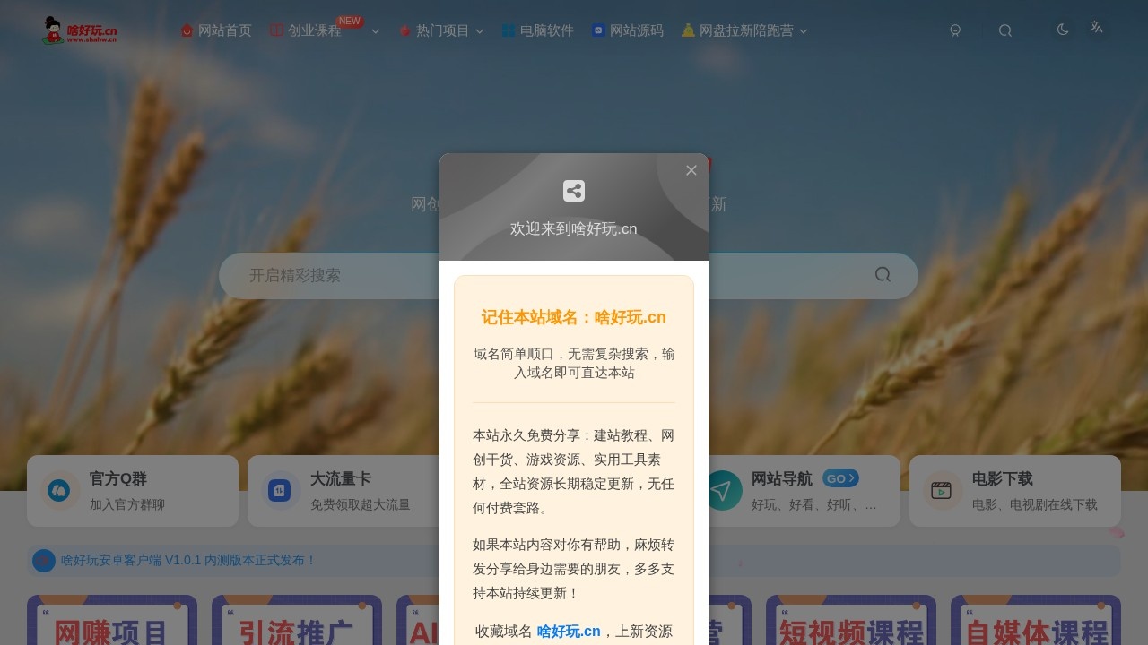 啥好玩