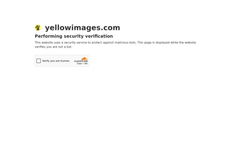 Yellowimages