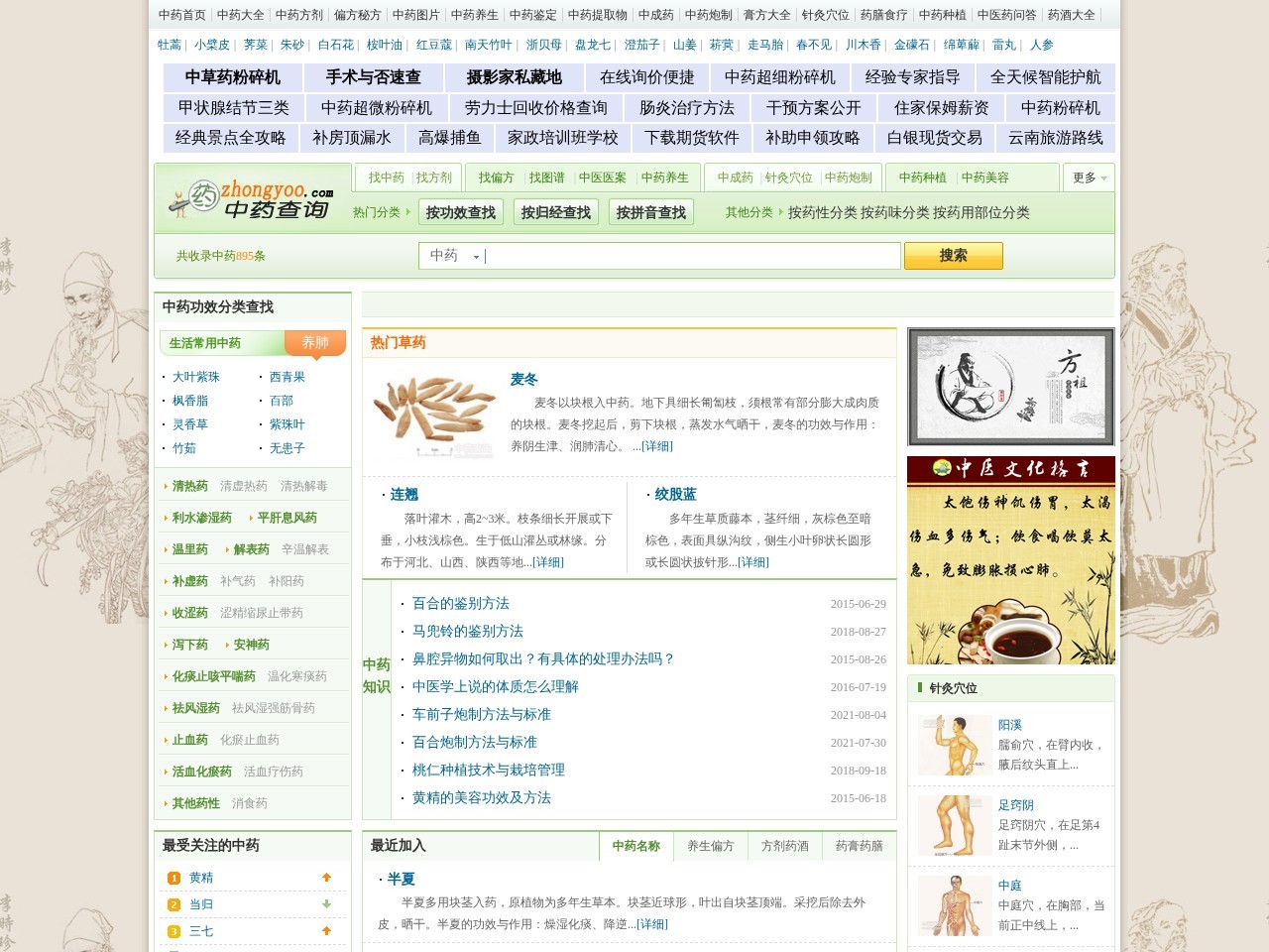 中药查询