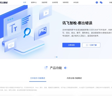 讯飞智检